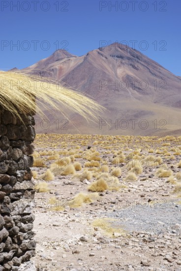 Sector Lagunas Miscanti y Miñiques - Reserva Nacional Los Flamencos - Deserto do Atacama - Região