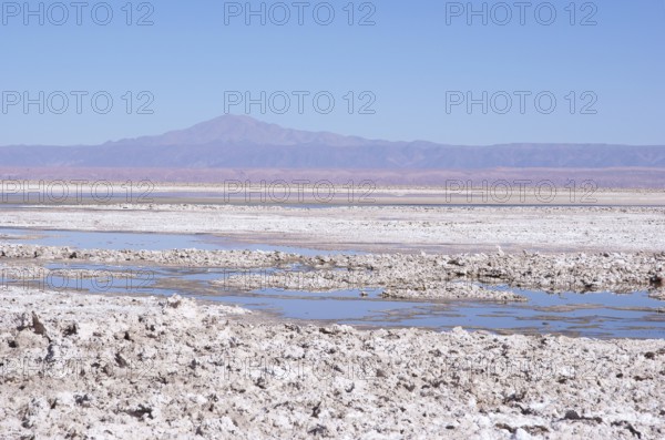 Reserva Nacional Las Flamecos - Salar do Atacama - Deserto do Atacama - Região de Antofagasta -