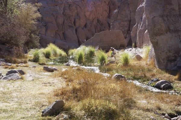 Broken of Jere, Worth of Jere, Poblado Toconao, Atacama Desert, Region of Antofagasta, Santiago,