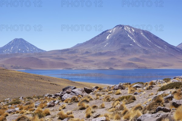 Laguna Miscanti, Los Flamencos Reserve National, Atacama Desert, Region of Antofagasta, Santiago,