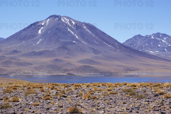 Laguna Miscanti, Los Flamencos Reserve National, Atacama Desert, Region of Antofagasta, Santiago,