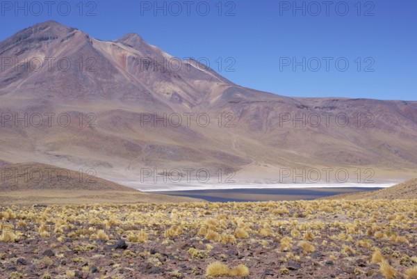 Laguna Miñiques, Los Flamencos Reserve National, Atacama Desert, Region of Antofagasta, Santiago,