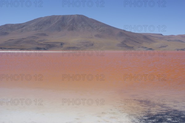 Laguna Colorada, Reserves national of Andean fauna Eduardo Abaroa, Desert of Lipez, Department of