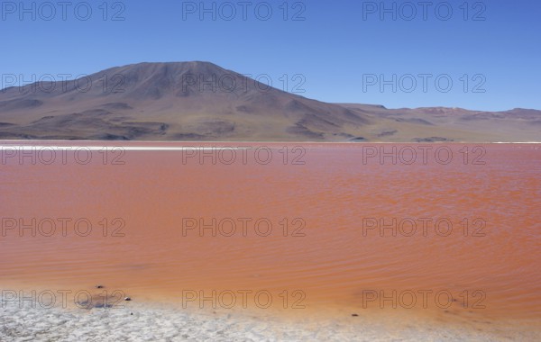 Laguna Colorada, Reserves national of Andean fauna Eduardo Abaroa, Desert of Lipez, Department of
