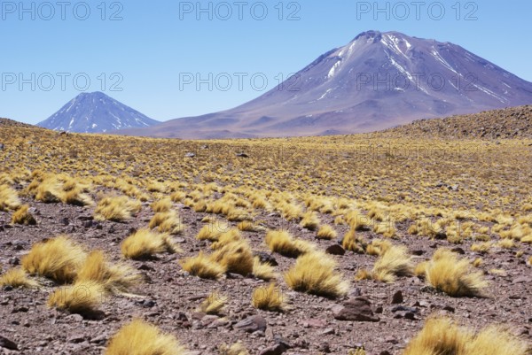 Sector Lagunas Miscanti y Miñiques, Los Flamencos Reserve National, Atacama Desert, Region de