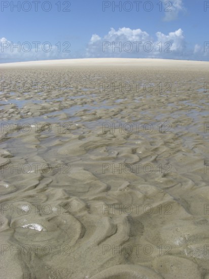 Beach, Dunes, São Paulo Hill, Salvador, Bahia, Brazil