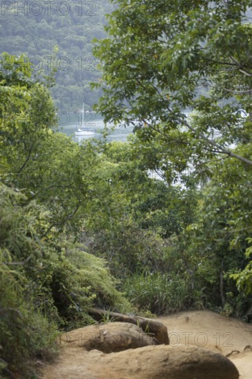 Landscape, Motorboat, Ilha Grande, Rio de Janeiro, Brazil