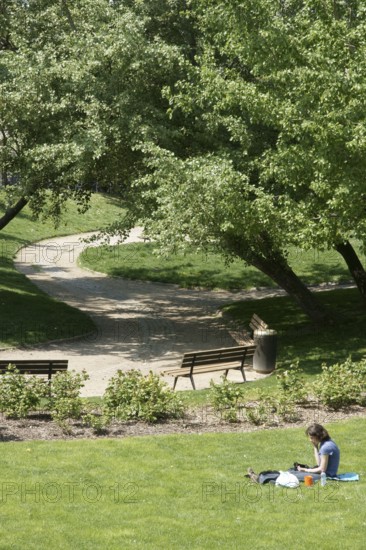 Trees, Parc des Glacières, Bolougne-Billancourt, Hauts-de-Seine (92), Ile de France, France