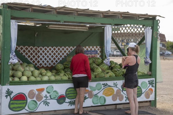 Green River, Utah - Melons from Dunham Farms for sale at a roadside stand. Green River is famous