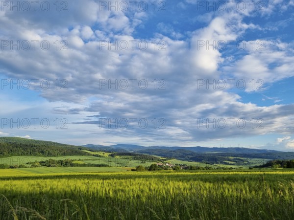 Sunny summer landscape with fields, meadows and forests (smartphone photo) . Hübental,