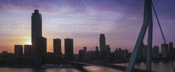 Panoramic view of Erasmus Erasmusbrug bridge in Rotterdam. Financial business district skyline