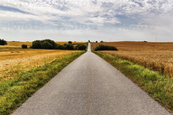Empty country road leads through hilly wheat fields at harvest time, Cumulus, typical landscape in
