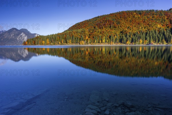 Mountain lake, mountains, morning light, reflection, autumn, autumn color, forest, shore,