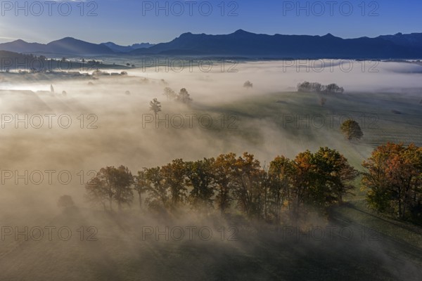 Trees, oaks, beech trees, sunny, morning light, autumn color, fog, aerial view, Riegsee, view of
