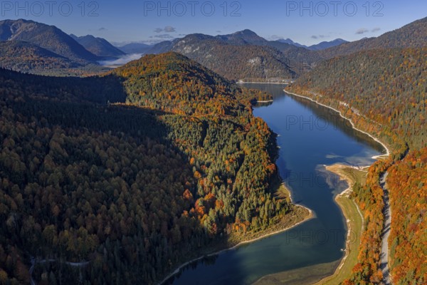 Mountain lake, mountains, sunny, morning light, autumn, autumn color, forest, aerial view,