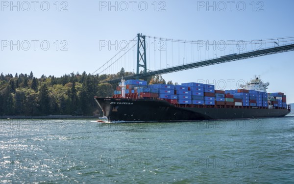 Container ship loaded with containers sails under the Lions Gate Bridge, Vancouver Harbor,