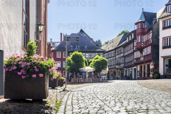 Marketplace, old half-timbered houses, historical city of Miltenberg, Lower Franconia districtt,