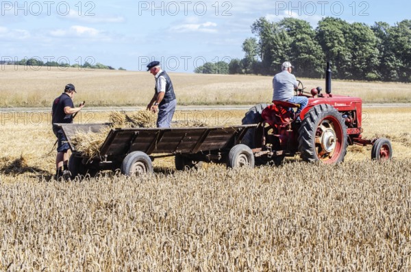 Older tractor with wagon in harvesting wheat at old-fashioned harvest festival in Svenstorp, Ystad