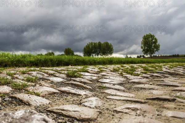 Pave, Mons-en-Pevele, Cobblestones at the cycling classic Paris to Roubaix, Departement North,
