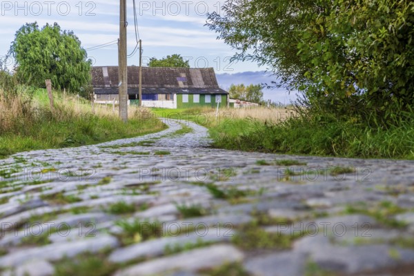 Hill of Oude Kwaramont, Cobblestones at the cycling classic Tour of Flanders, Kluisbergen,