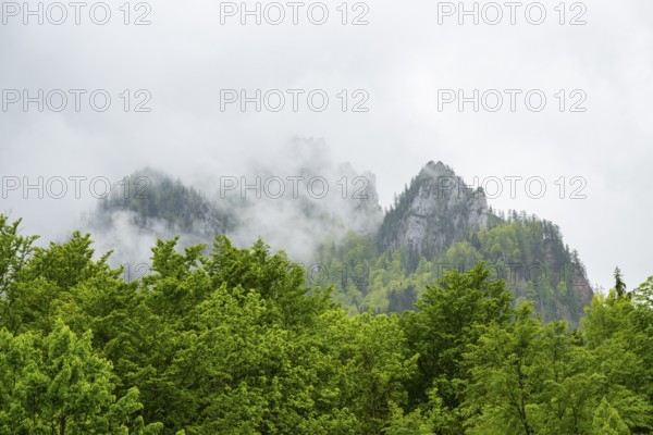 View into the mountains next to Lake Offensee on a rainy day in spring, Salzkammergut, Austria,