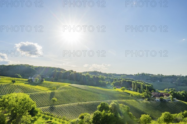 Landscape of the wine yards growing on the hills of southern styria, Austria