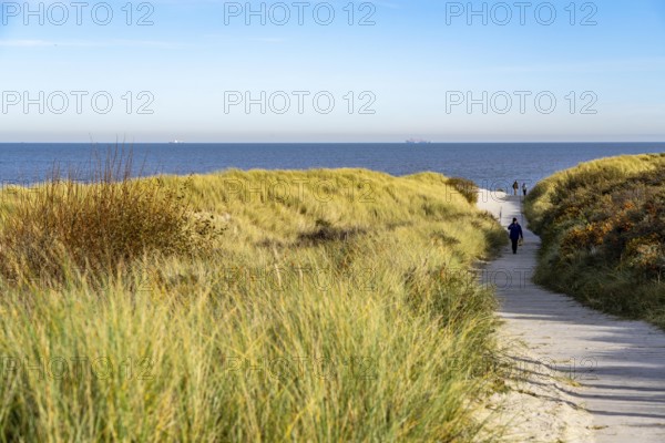 East beach of the East Frisian island of Spiekeroog, beach access through the dunes of Lower