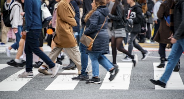 Pedestrian, crowd, lots of people crossing crosswalks, close-up, Shibuya Crossing, Shibuya,
