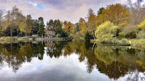 View in autumn across pond at Ehrenmal Pond in the Wittringer Wald recreation area, Gladbeck, North