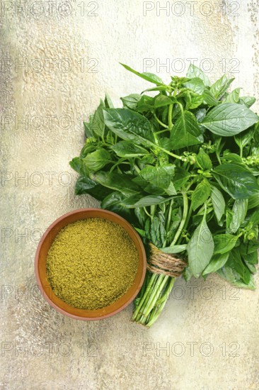 Ground green basil, in a ceramic bowl, with a bouquet of fresh green basil, on the table, top view,