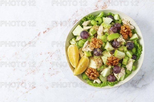 Fresh Waldorf salad, celery stalk with chicken, apple and walnuts, grapes, herbs, homemade, without