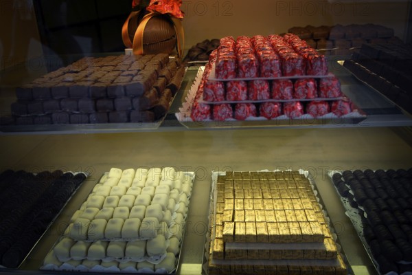 Showcase full of finely arranged Belgian chocolates in various types and colors, appetizingly