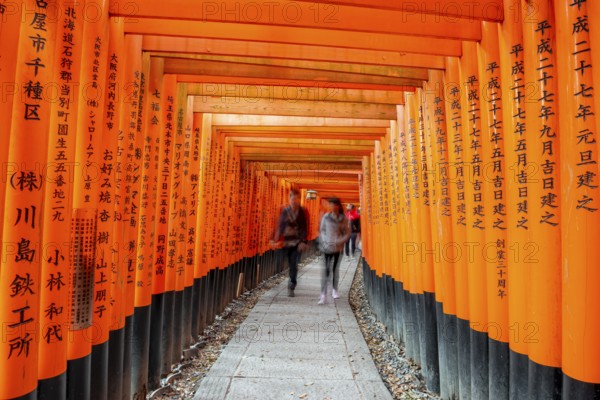 Visitors on a journey through hundreds of red traditional torii gates, Fushimi Inari-taisha, Shinto