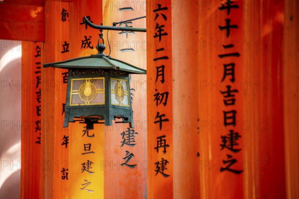 Lantern between red torii gates, hundreds of red traditional torii gates, Fushimi Inari-taisha,