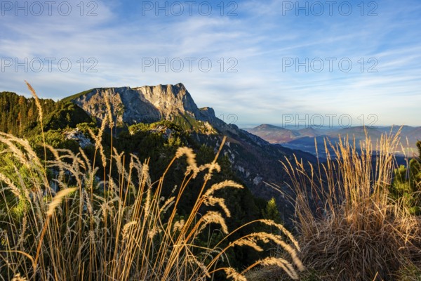 View from Rauhen Kopf to Untersberg, in front dry grass, Berchtesgaden Alps, Bischofswiesen,