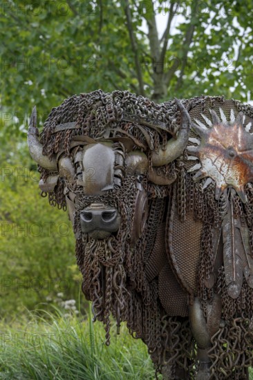 Close-up of life-size bison metal sculpture made out of discarded farm equipment, chains and bronze