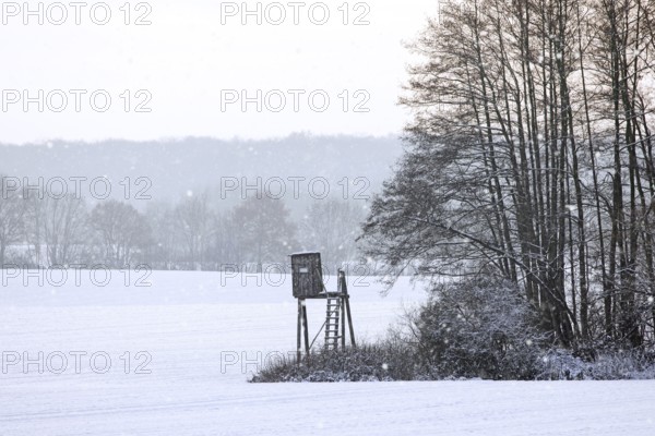 Raised hide, hunting blind, deerstand, deer stand in snow covered field at edge of forest during