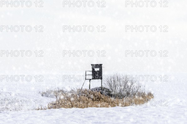 Raised hide, hunting blind, deerstand, deer stand in snow covered field during snow shower in