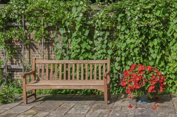 Wooden bench in front of a brick wall and lots of green plants, Münsterland, North