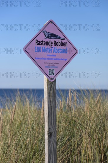 Sign, keep your distance from seals, on the beach on the Baltic Sea, Ahrenshoop, Darß.,