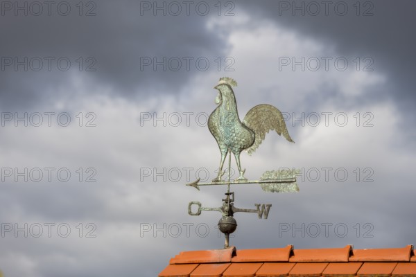 Weather vane in the shape of a rooster on a roof under an overcast sky, Baden-Württemberg, Germany