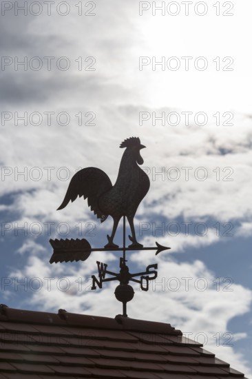 Silhouetted weather vane on a roof with clouds and sky in the background, Baden-Württemberg,