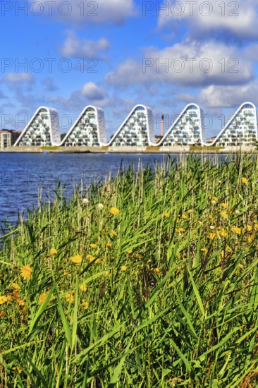 View over grasses and the shore of the fjord to the wave-shaped residential complex Bølgen, Die
