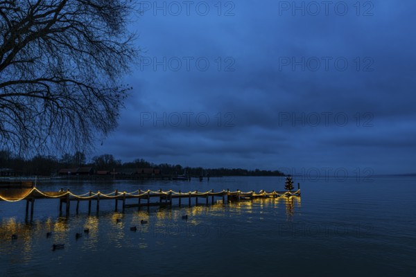 Illuminated Christmas tree at dawn, on an illuminated boat dock, Dießen am Lake Ammer, Upper