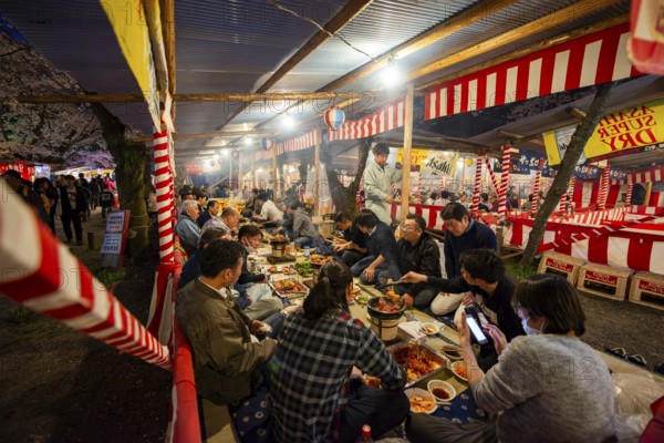 Cherry Blossom Festival, Hanami, Japanese eating grilled food at a long table, evening mood, Hirano