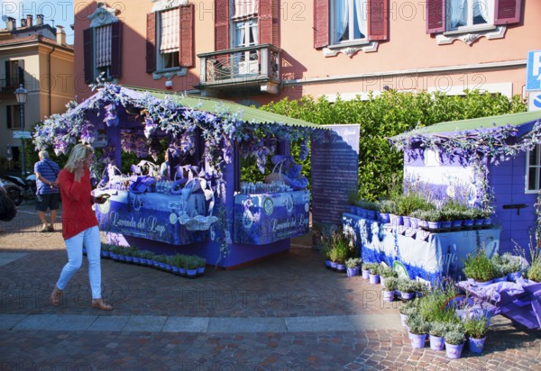Menaggio, beautiful tourist town on the western shore of Lake Como, market with lavender products,