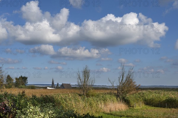 View of the lagoon with a strip of reeds and a fishing hut, Ahrenshoop, Darß, Mecklenburg-Western