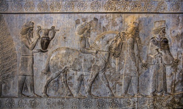 Relief detail of the delegation of peoples bringing gifts to Darius on the stairs of the Apadana