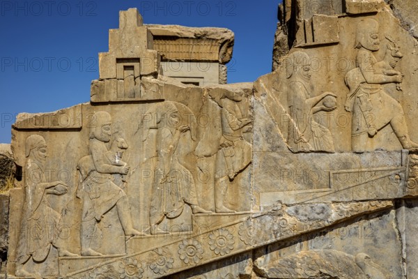Relief detail, gifts brought to Darius the Great, staircase of the Darius Palace, Persepolis,