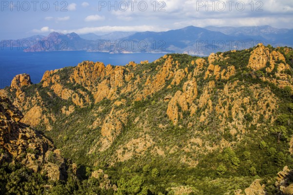 Calanche, bizarre rock formations 400 m above sea level, UNESCO World Heritage Site, Corsica,